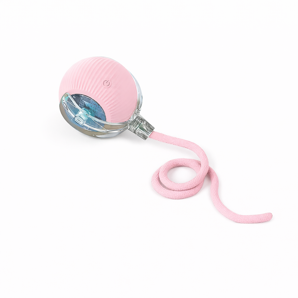 Interactive Pet Toy Ball