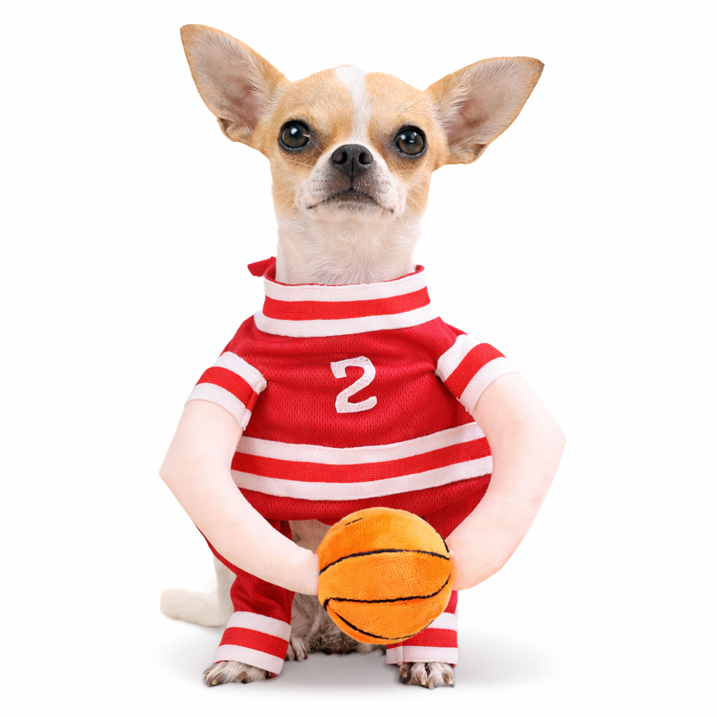 Halloween Pet Costume Dog Cat Funny Outfit