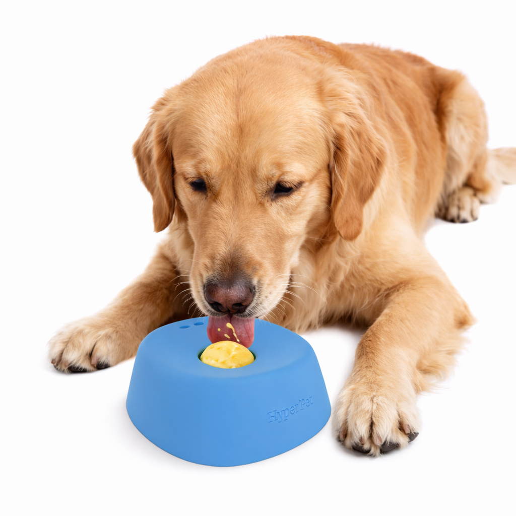 Pet Slow Feeding Bowl