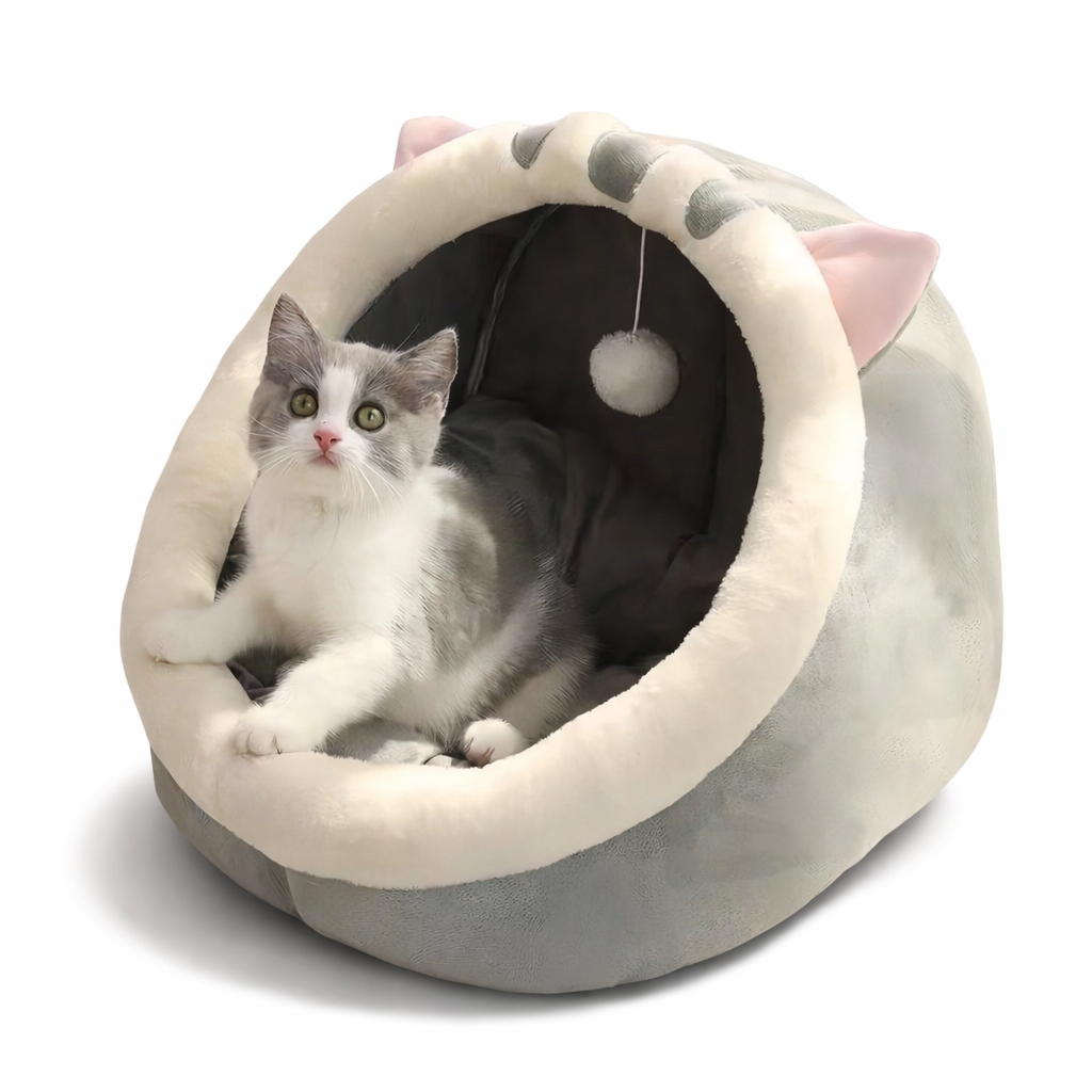 Closed Cat Bed