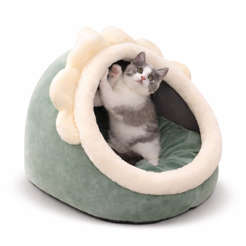 Closed Cat Bed