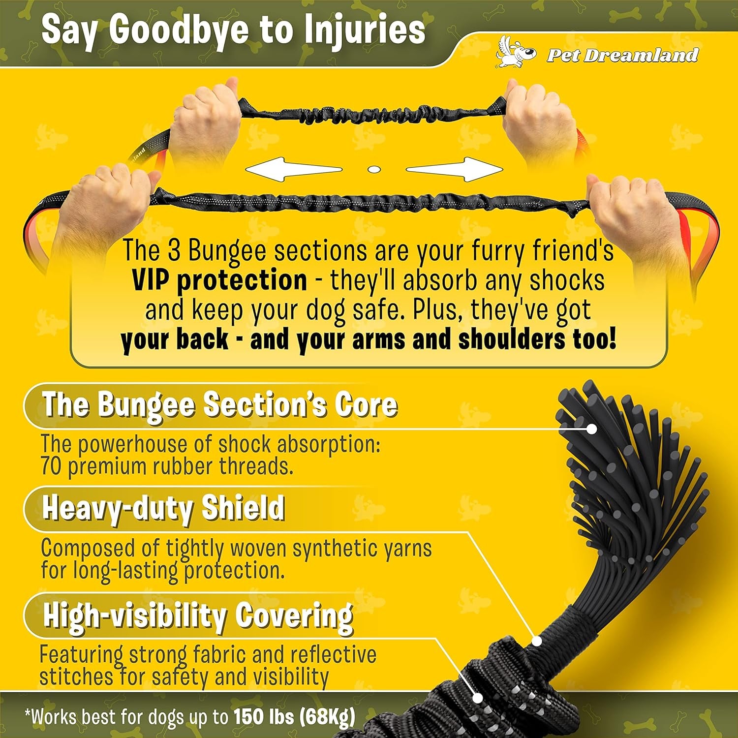 Experience Stress-Free Adventures with Your Dogs!