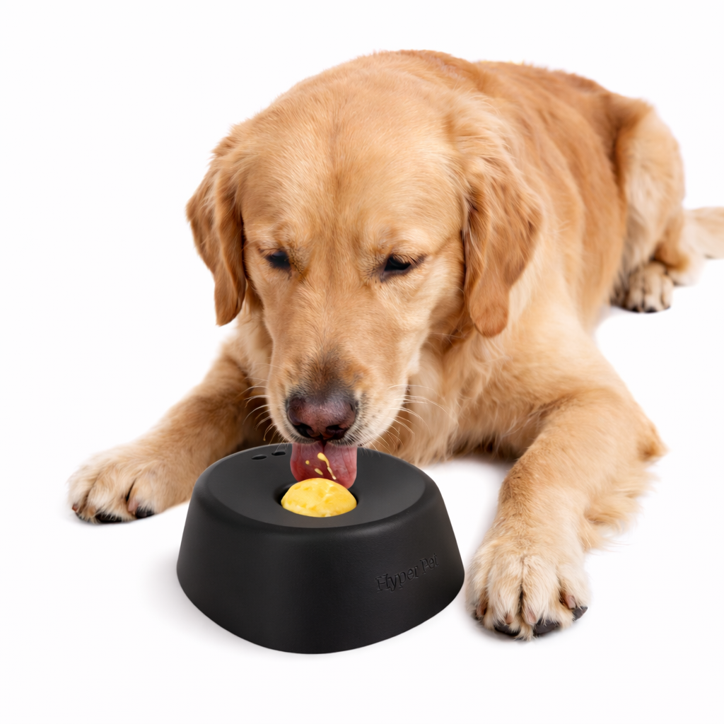 Pet Slow Feeding Bowl