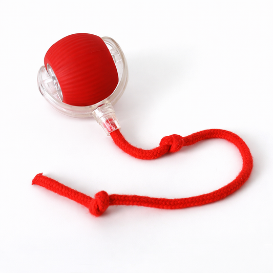 Interactive Pet Toy Ball