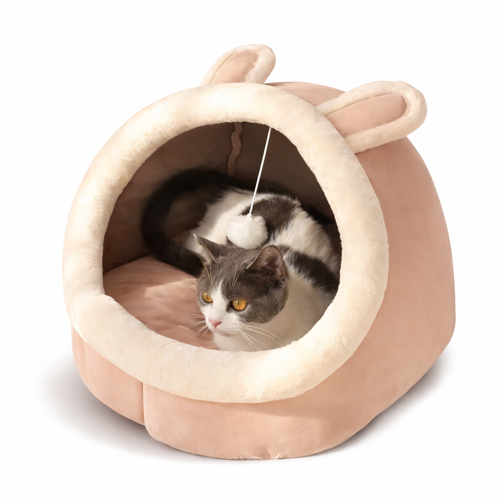 Closed Cat Bed