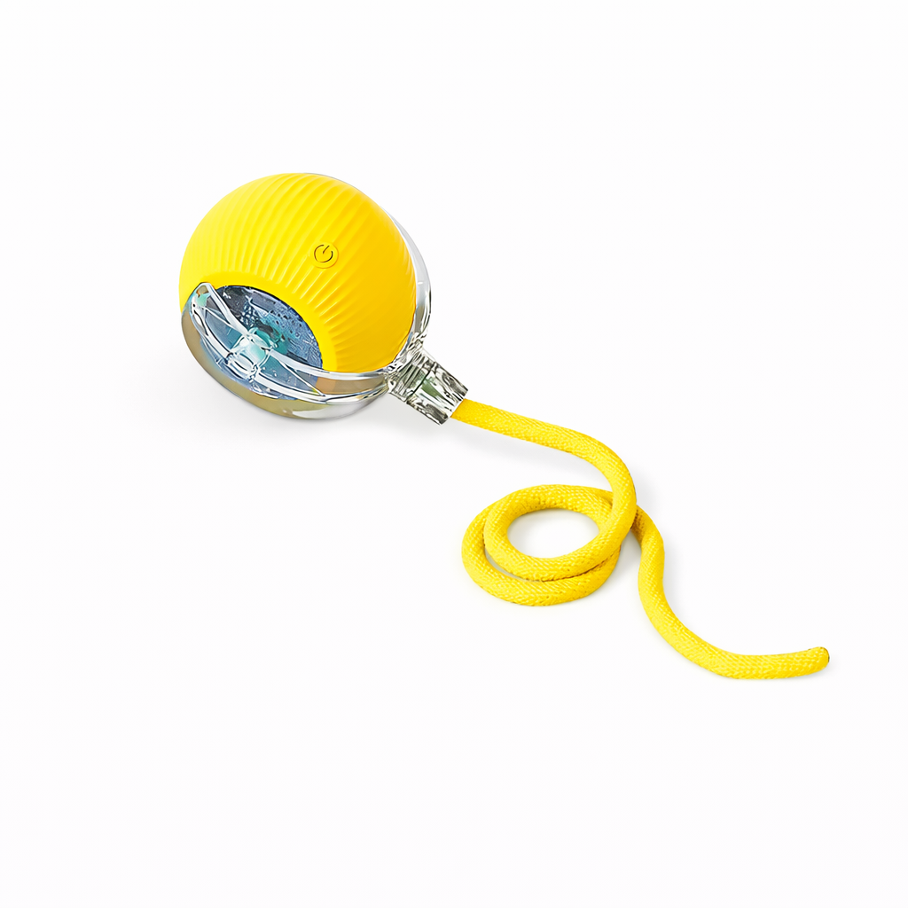 Interactive Pet Toy Ball