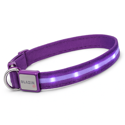 Light up Dog Collar - the Original LED Dog Collar - USB Rechargeable - Waterproof - 1,000 Feet of Visibility - Dog Collar Light for Small, Medium, Large Dogs - US Brand
